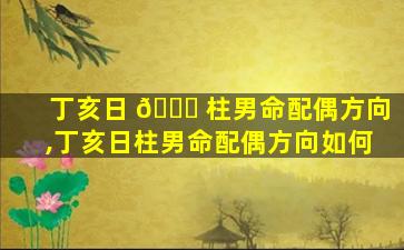 丁亥日 🐎 柱男命配偶方向,丁亥日柱男命配偶方向如何